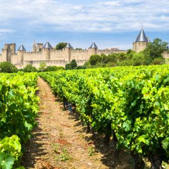 Carassonne in de Languedoc-Roussillon wijnstreek
