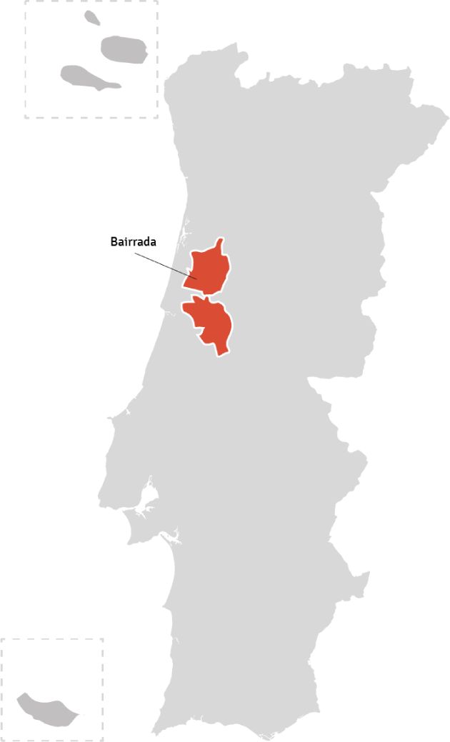 Kaart van Portugal – wijnstreek Bairrada | Bekijk het beste aanbod van Bairrada wijnen samengebracht in één online winkel op Vindmijnwijn.nl