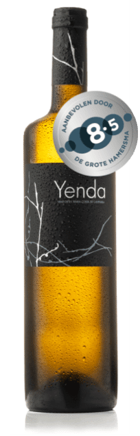 Yenda Spicata Sel d’Aiz Cantabria bio | Spanje | gemaakt van de druif: Albariño, Godello