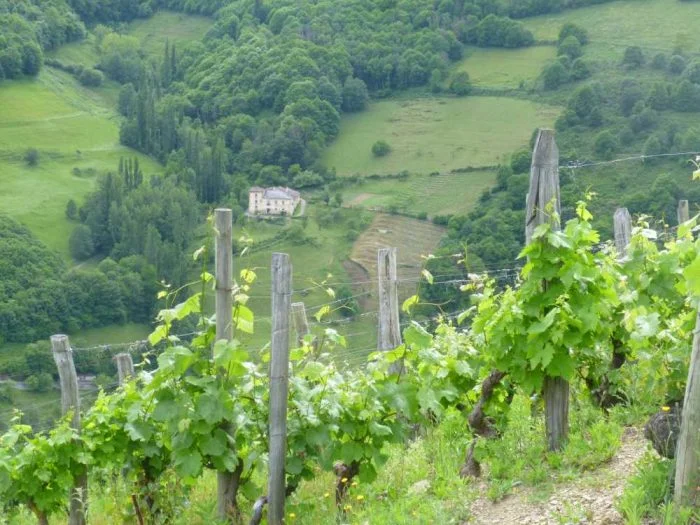 Asturias wijngebied | De wijnen worden erkend als High Mountain wines van Heroic Viticulture, een kwaliteitszegel dat ook is toegekend aan Ribeira Sacra in Galicie en Priorat in Catalonië.