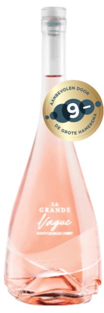 Domaine Saint Georges d’Ibry Excellence Rosé Magnum 2019 | Frankrijk | gemaakt van de druif: Cinsault, Grenache gris, Grenache Noir, Syrah