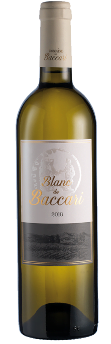Domaine de Baccari – Blanc de Baccari | Marokko | gemaakt van de druif: Sauvignon Blanc, Vermentino