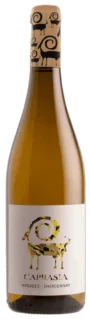 Bodegas Vegalfaro Caprasia blanco | Spanje | gemaakt van de druiven Chardonnay en Macabeo