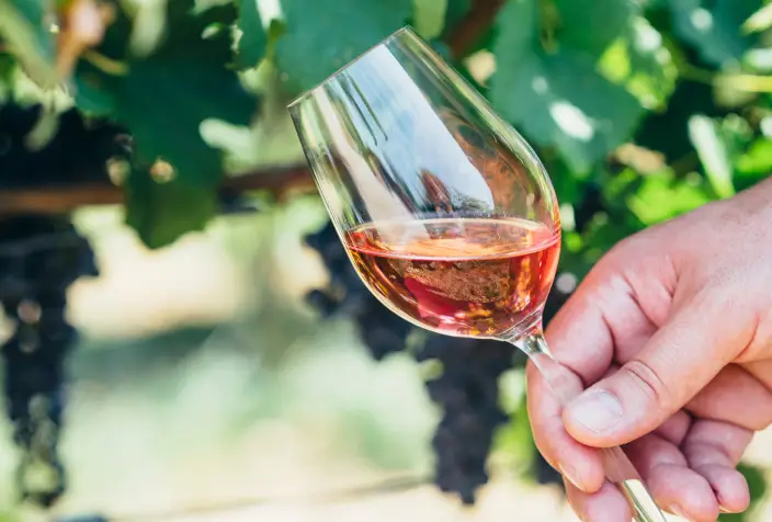 Rosé wijnglas hand