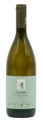 Murva - Corvatis Sauvignon Blanc | Italië | gemaakt van de druif Sauvignon Blanc