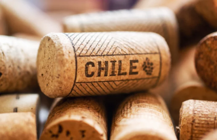 Wijnland Chili