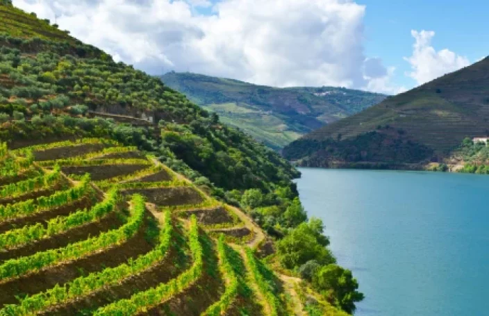 Wijnland Portugal